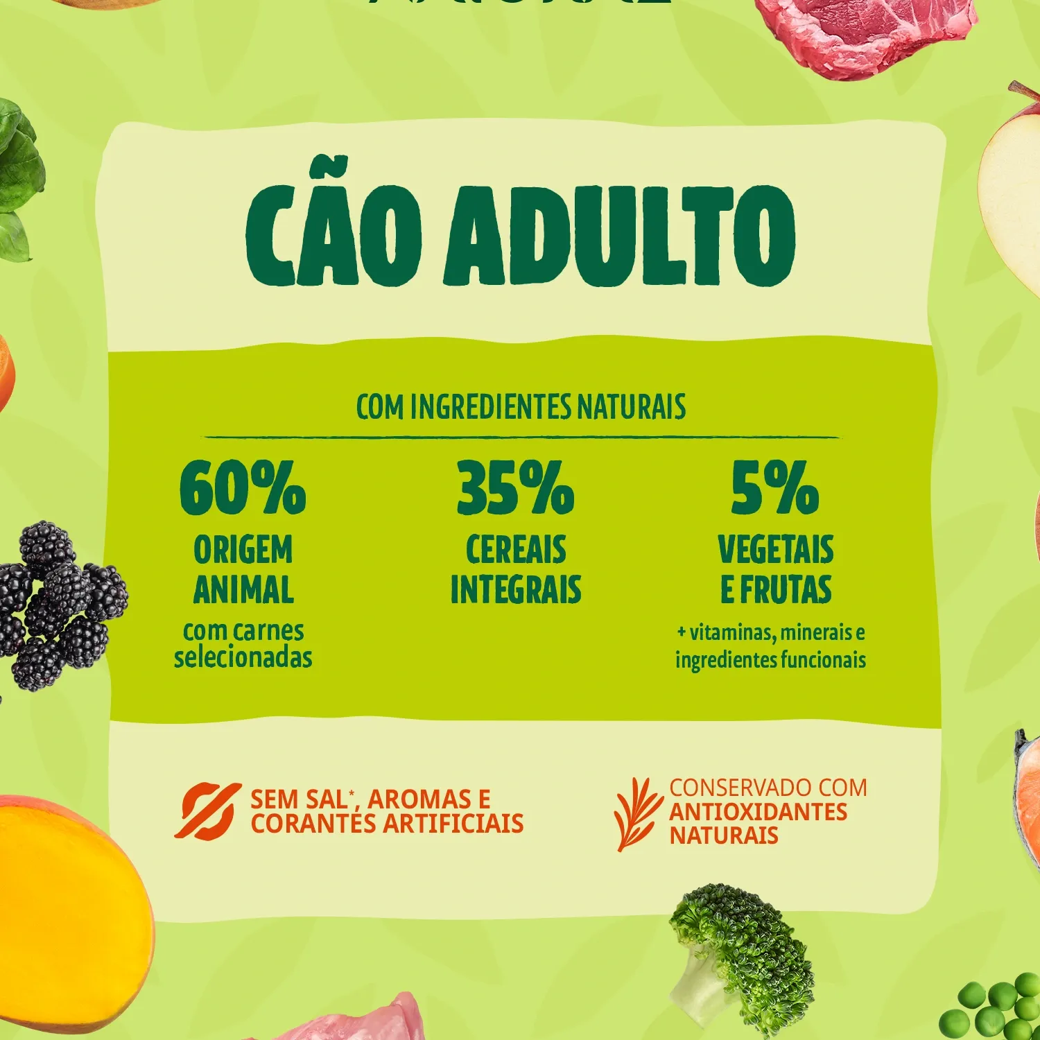 Racao Guabi Natural Caes Adultos Grandes Frango e Arroz 4